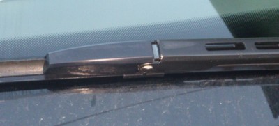 IMG_20121105_104903.jpg