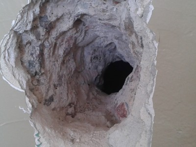 2013-04-16 09.42.12.jpg