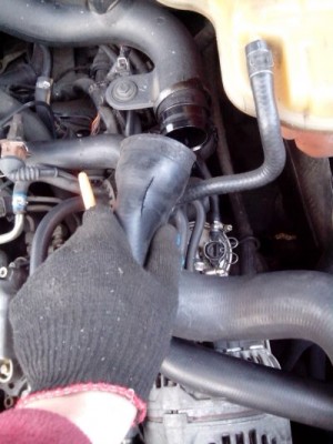 IMG_20130503_194439.jpg