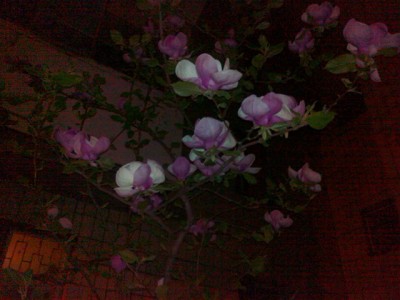 03052013640.jpg