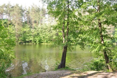 DSC_5057.JPG