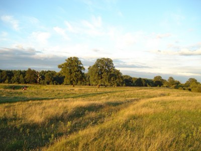 DSC04181.JPG