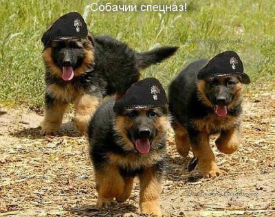 pic_7.jpg