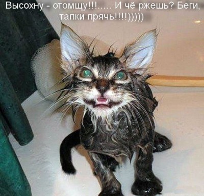 pic_9.jpg