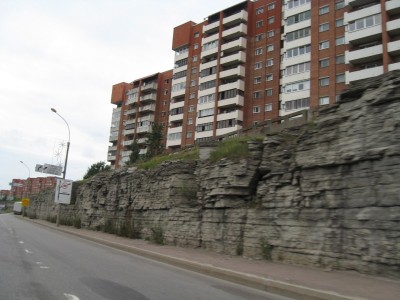 Петербургское.jpg