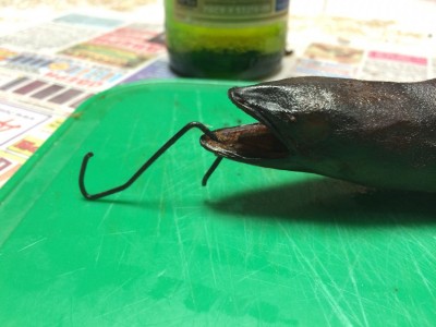 image.jpg