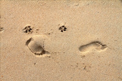 Samui (1204).jpg