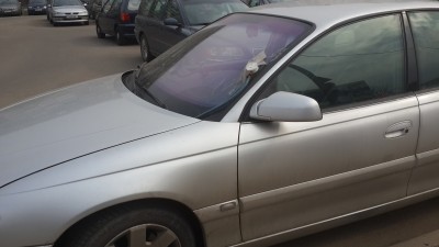 20150325_130639.jpg