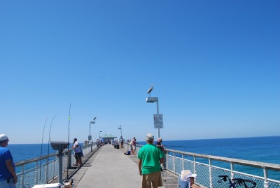 DSC_0570.JPG