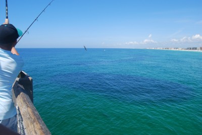DSC_0599.JPG