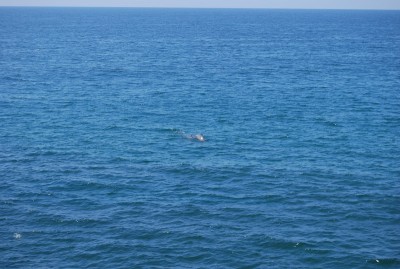 DSC_0791.JPG