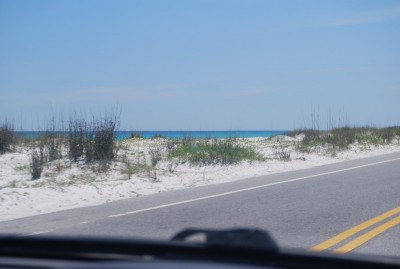 DSC_1179.JPG