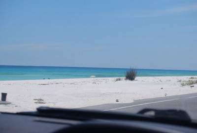 DSC_1181.JPG