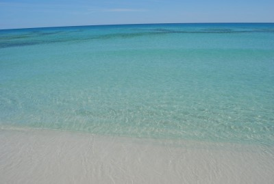 DSC_1287.JPG