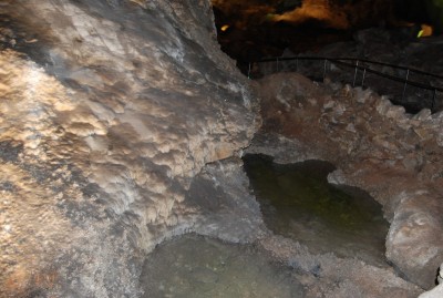 DSC_1529.JPG
