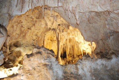 DSC_1570.JPG