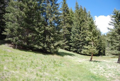 DSC_0091.JPG