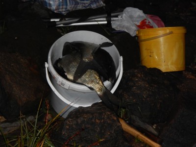 DSCN6199.JPG