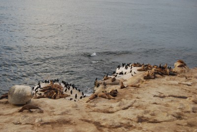 DSC_0491.JPG