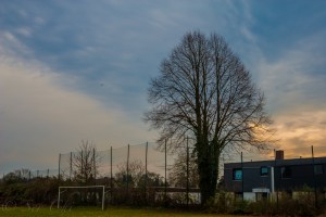 DSC_8588.jpg