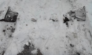 IMG_20151231_122208.jpg