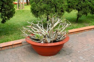 Сайгон (7).JPG