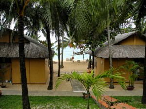 DSCN8059.JPG