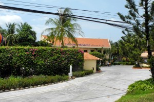 DSCN8231.JPG