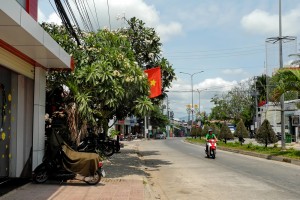 DSCN8258.JPG