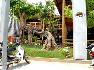DSCN8267.JPG
