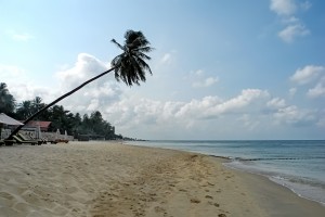DSCN8818.JPG
