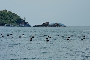 DSCN8998.JPG