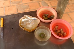 DSCN8903.JPG