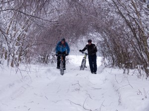 P1080884_PS.jpg