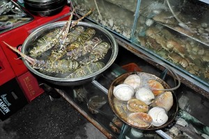 DSCN8307.JPG