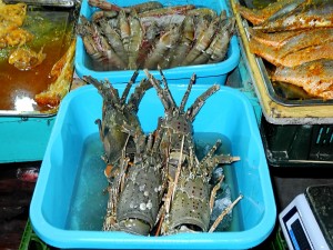 DSCN8354.JPG