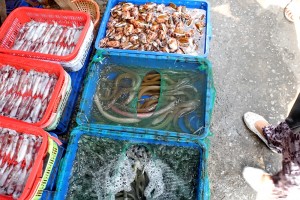 DSCN9271.JPG