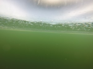 GOPR1756_1454843014469_low.JPG