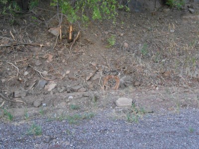 DSCN1758.JPG