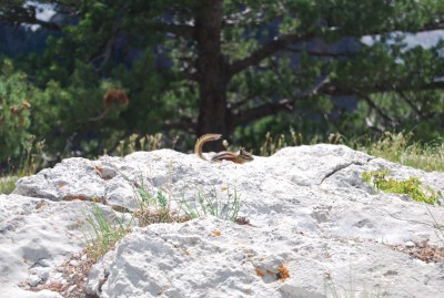 DSC_0883.JPG