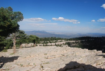DSC_0933.JPG