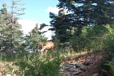 DSC_0946.JPG