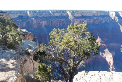 DSC_0148.JPG