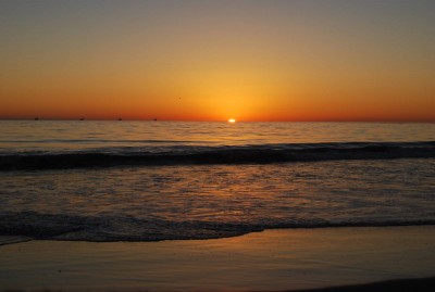 DSC_0243.JPG