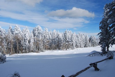 DSC_0050.JPG