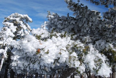 DSC_0055.JPG
