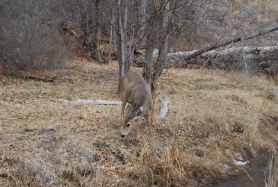 DSC_0097.JPG