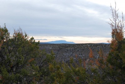 DSC_0138.JPG