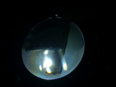 061.JPG