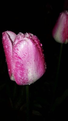 20170512_211718.jpg